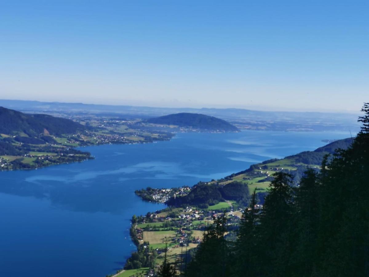 Appartamento Haus Auer Weyregg Esterno foto